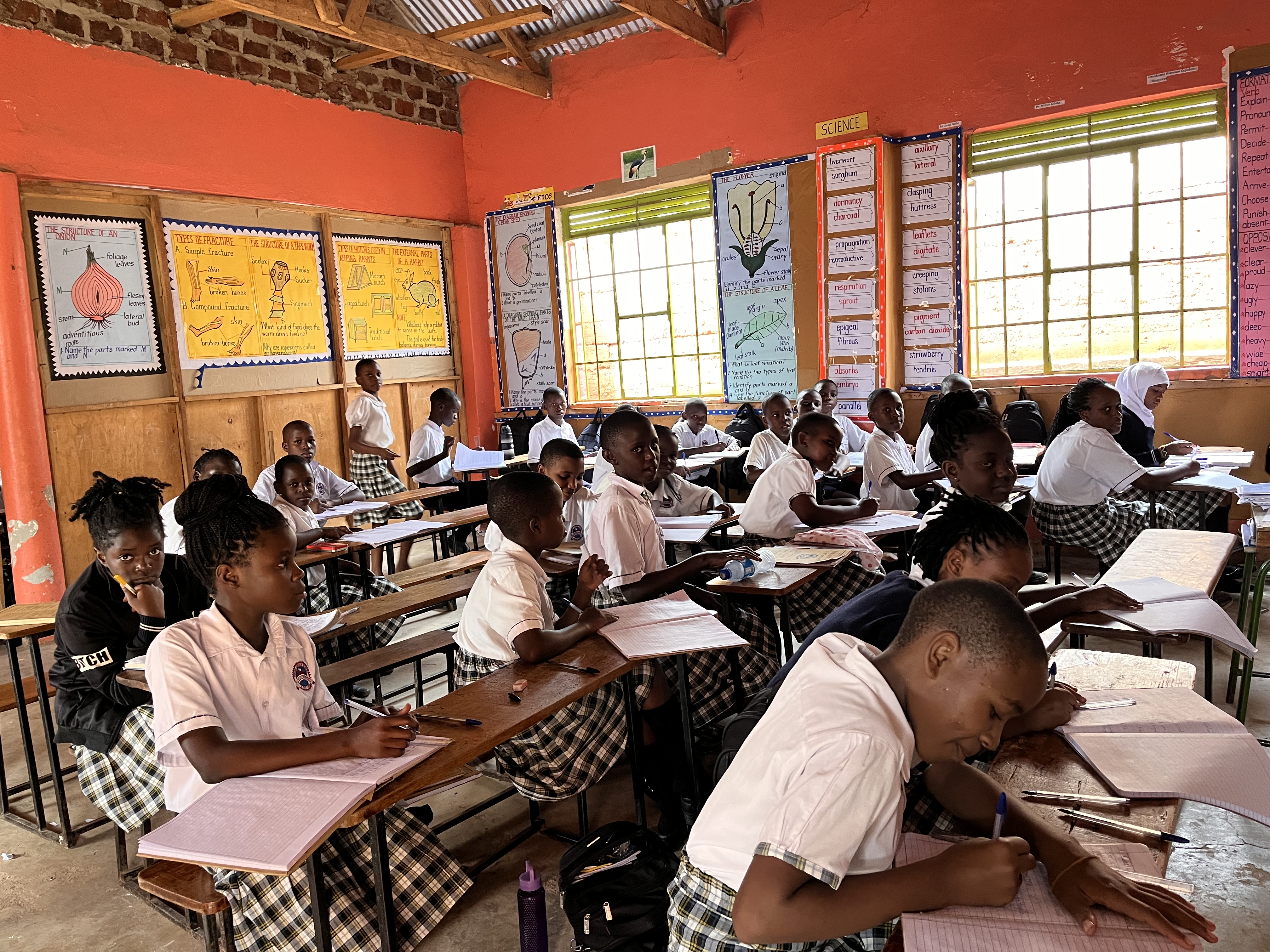 Cultural pride at school